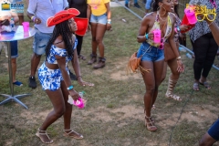 more at www.bajantube.com