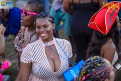 more at www.bajantube.com