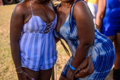more at www.bajantube.com