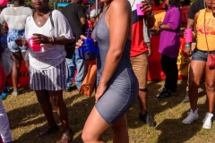 more at www.bajantube.com