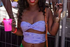 more at www.bajantube.com