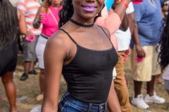 more at www.bajantube.com