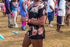 more at www.bajantube.com