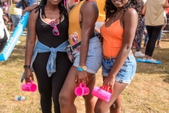 more at www.bajantube.com