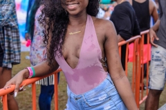 more at www.bajantube.com