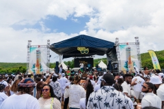 1D8A4509